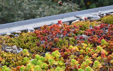 the cost of Little Haywood green roof installation