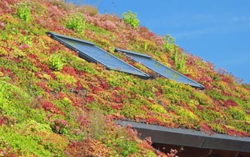 Little Haywood living roof systems