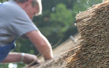 professional Little Haywood thatchers