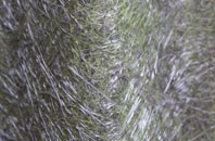 Little Haywood fibreglass roof work